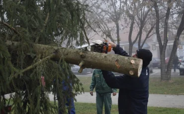 11 - Postavljanje božićnih kućica i bora - Javor Bojan Leš - Grad Ivanić-Grad_800x533