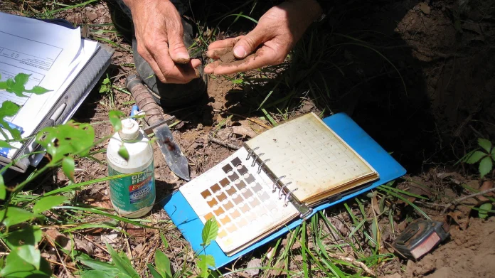 best-soil-test-kit